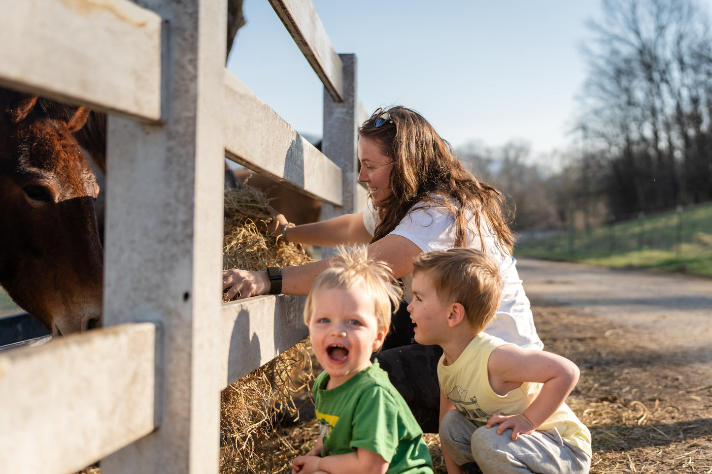 Farm tour