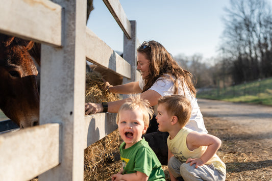 Farm tour