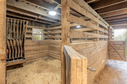 Horse boarding - hookup